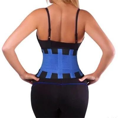 Back Support Belt