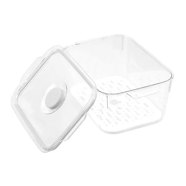 Boxsweden Rectangle Crystal Clear Fresh Green Saver Fresh Storer Container - 2.4L