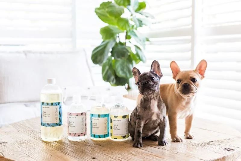 Good Scruff Pet Essentials Kit – SAVE $41.95