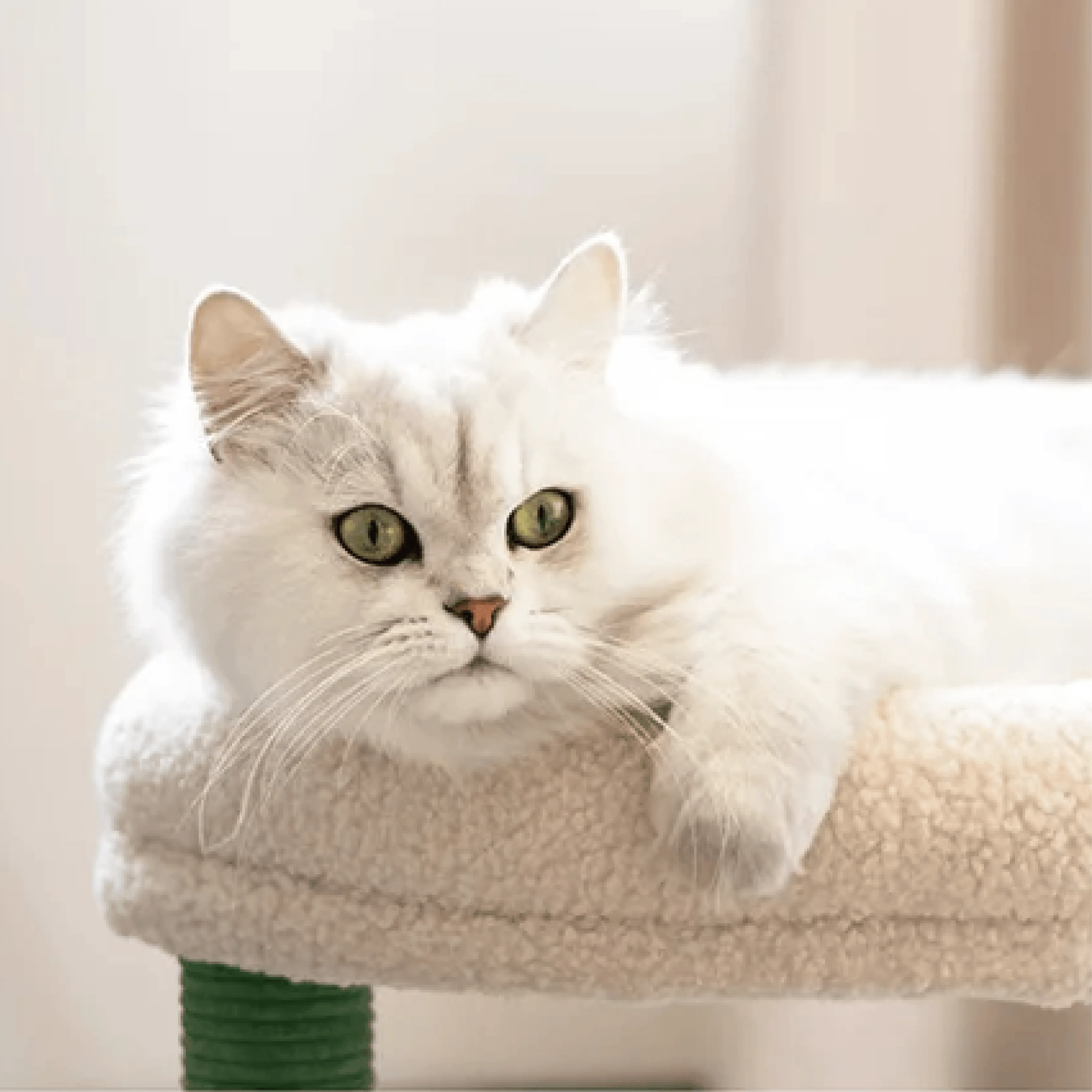 Mewoo - Twilight Purr Cat Scratching Post