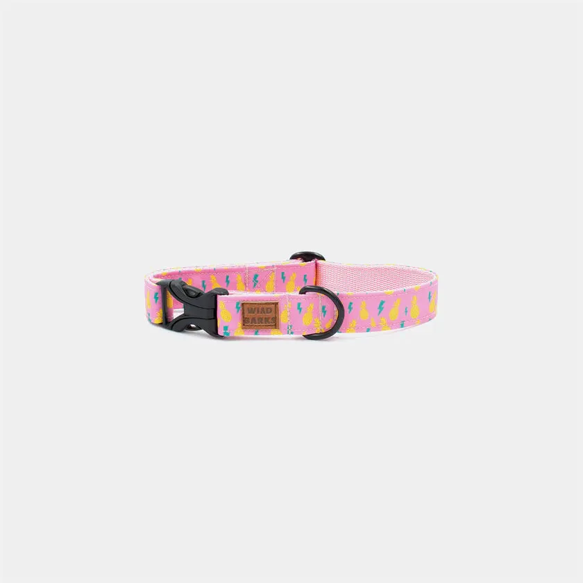 Rock Pineapples collar